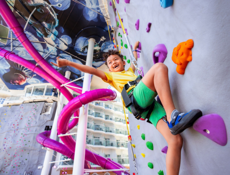 Rock Climbing Wall (OY)