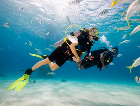 Scuba Certification (HM)