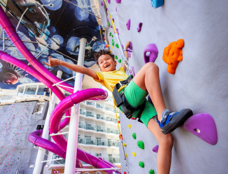 Rock Climbing Wall (SC)
